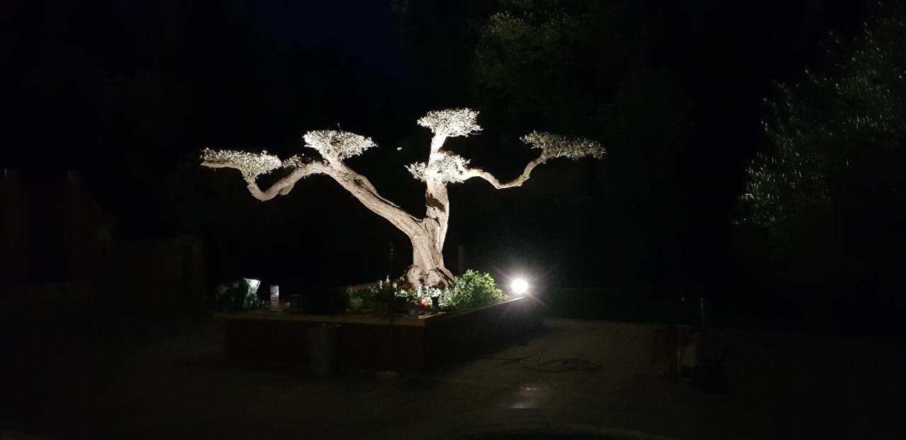 Les Gites De L'Arbousier Quissac  Exterior foto