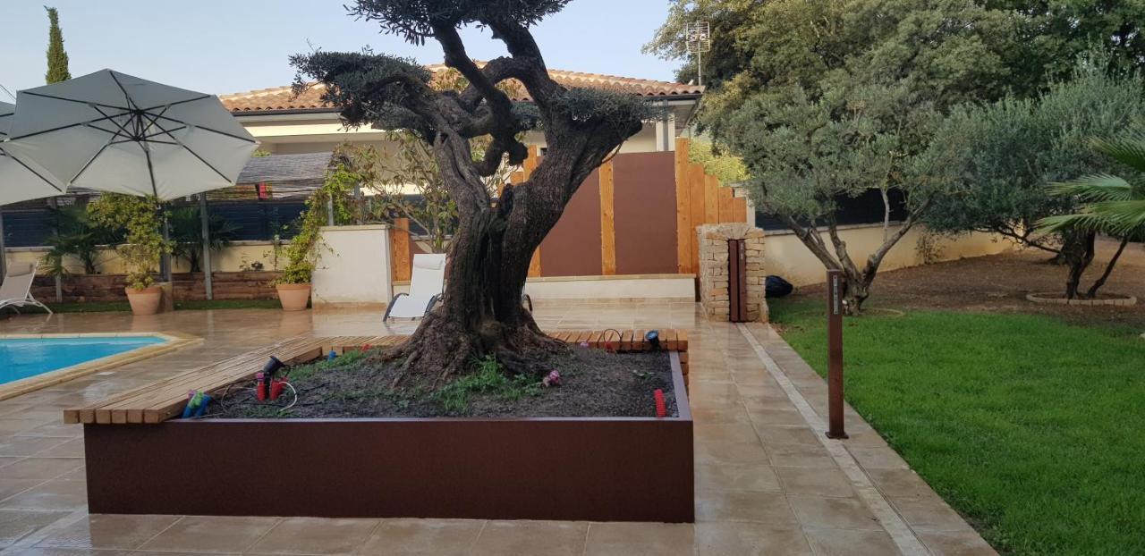 Les Gites De L'Arbousier Quissac  Exterior foto